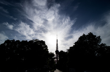 Fototapeta premium (東京都ｰ都市風景)パワーを感じる東京タワー
