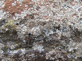 pietra e cemento
