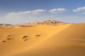 Fototapeta na wymiar blue sky with clouds above dunes in Sahara desert in Morocco