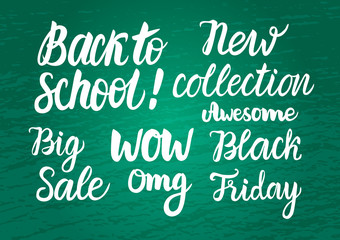 Vector Set Back to school Sale on green chalkboard wide background