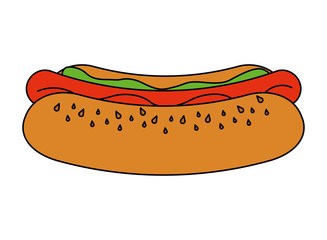 hot dog fast food vector illustration design