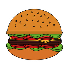 delicious hamburger fast food vector illustration design