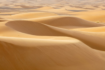 Fototapeta na wymiar sand hills in Sahara desert in Morocco