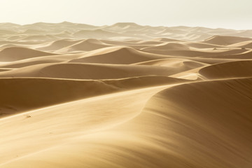 Fototapeta na wymiar moving sand by dunes in Sahara desert in Morocco