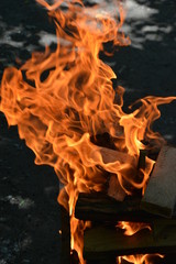 Burning wood on black background
