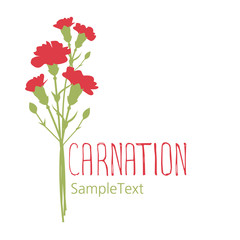 Carnation flowers. Logo design. Text hand drawn. Isolated on white background