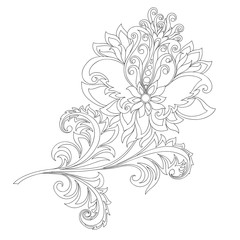 contour of flower with ornaments