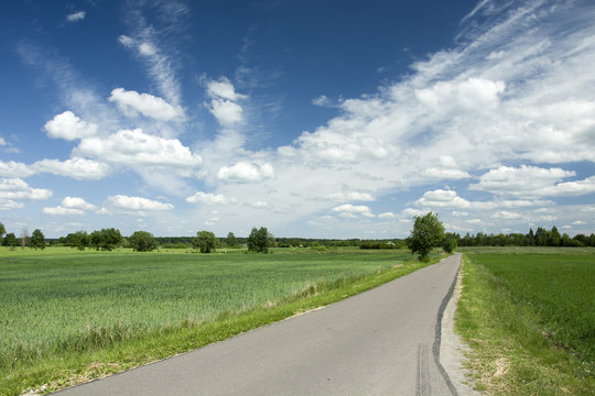 Asphalt road through fields and clouds in the sky