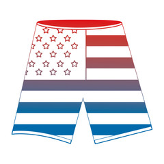 pants shorts with usa flag vector illustration design