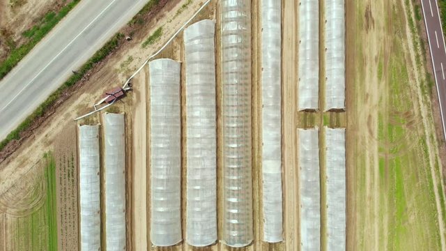 Aerial: bird's eye top down view of greenhouse in a row and vegetable cultivated fields, industrial agriculture