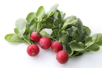 ラディッシュ　Radish