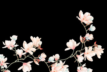 Watercolor magnolia flowers and branches © yang