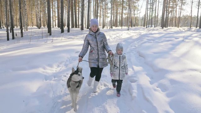 Beautiful woman and small child walking in winter forest with of husky dog. Happy young mother with daughter in the winter park with huskies dog. Friendship pet and human. Siberian husky dog in snow