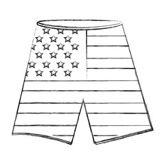 pants shorts with usa flag vector illustration design