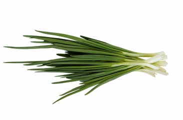 Fototapeta premium зелёное перо лука 