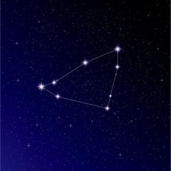 Night sky,Capricorn in night sky,Silent night,Dark blue background.