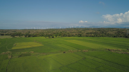 Fototapeta na wymiar Aerial view of Windmills for electric power production on the seashore. Bangui Windmills in Ilocos Norte, Philippines. Ecological landscape: Windmills, sea, mountains. Pagudpud