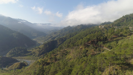 Fototapeta premium Aerial view of mountains covered forest, trees in clouds and fog. Cordillera region. Luzon, Philippines. Slopes of mountains with evergreen vegetation. Mountainous tropical landscape.