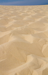 Sanddüne
