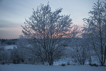 winter sunrise