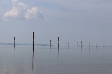 Paysage du bassin d'arcachon 
