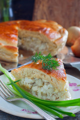 Closed yeast dough cake with fish, selective focus
