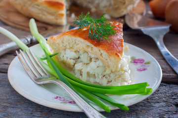 A cut piece of a closed pie from a yeast dough with fish (Rybnik), horizontal