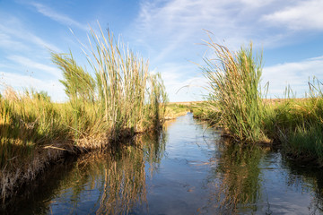 small two feet wide , slow flowing, stream
