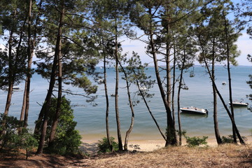 Plage du cap ferret bassin arcachon