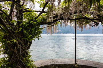 Como lake landscape, Menaggio, Italy, Lombardy