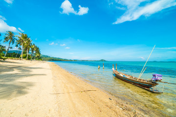 Fototapeta na wymiar Beautiful tropical beach and sea with coconut palm tree in paradise island