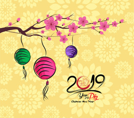 Chinese new year 2019 lantern and blossom background. Year of the pig