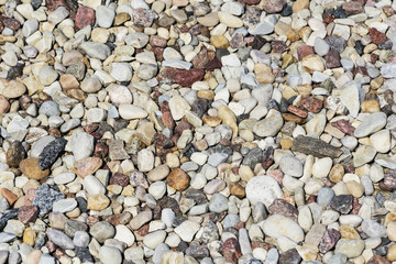 colorful pebbles stones, background. Beach. Path of stones.