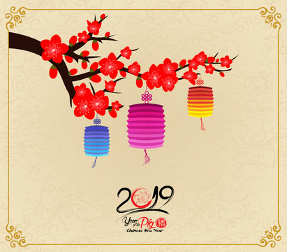 Chinese New Year design. Pig with plum blossom in traditional chinese background. (hieroglyph Pig)