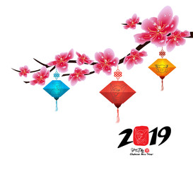 Sakura flowers background. Cherry blossom and lantern isolated white background. Chinese new year (hieroglyph Pig)