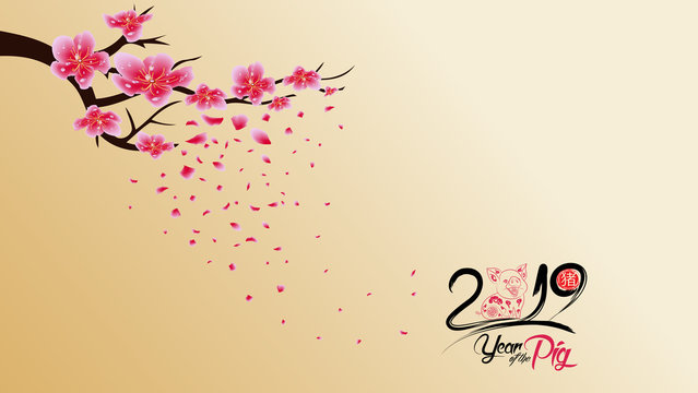 Chinese new year 2019 with blossom wallpapers. Year of the pig (hieroglyph pig)