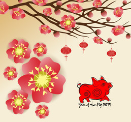 Chinese new year 2019 background blooming sakura branches