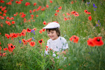 Preschool child in a poppy field, springtime