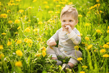 Concept: family values. Portrait of adorable innocent funny brown-eyed baby playing outdoor in the sunny dandelions field.