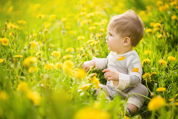 Concept: family values. Portrait of adorable innocent funny brown-eyed baby playing outdoor in the sunny dandelions field.