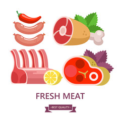 Fresh meat. Vector illustration. Still life of different types of meat