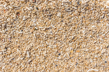 Coral beach sand closeup for background. Tropical beach photo. Exotic island sandy beach texture. Rough coal sand surface backdrop. Seaside sand surface. Coron Busuanga Philippines.