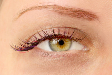 Obraz premium Beautiful Woman with long lashes in a beauty salon. Eyelash extension.
