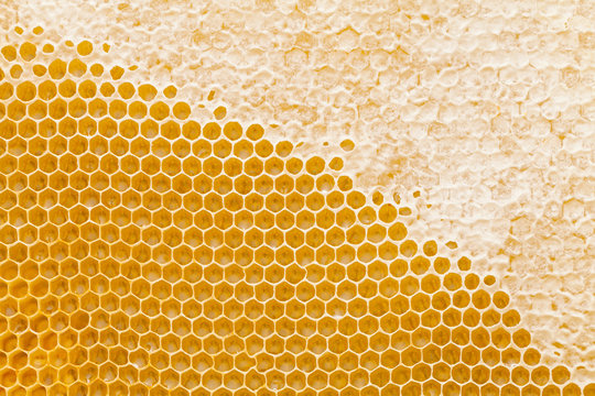 Honeycomb texture