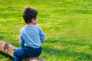 boy 4 years old sitting alone on a log
