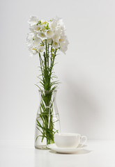 bellflower and a cup in a vase on a table by the wall, white background