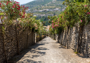 A narrow steep street with blooming oleanders in Ravello. Amalfi Coast. Italy