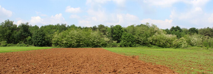 Campi coltivati in Campagna - Maggio 