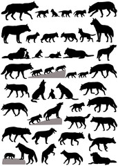 Collection of silhouettes of wolves and wolf-cubs