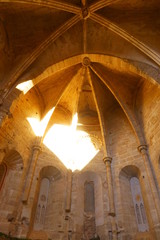 El monasterio de Piedra, antiguo monasterio cisterciense  en el municipio de Zaragoza de Nuévalos en la Comarca de Calatayud, en Aragón (España).